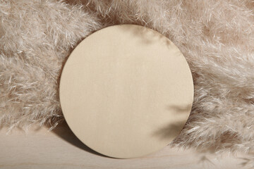 Round blank wooden panel against pampas soft texture. 