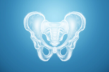 Hologram, ultrasound image, anterior view of the male pelvis, sacrum isolated on a blue background. Anatomy, medicine, scientific concepts. 3D rendering, 3D illustration. - obrazy, fototapety, plakaty