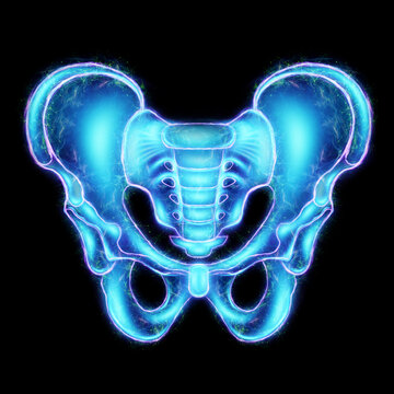 Hologram, ultrasound image, anterior view of the male pelvis, sacrum isolated on a black background. Anatomy, medicine, scientific concepts. 3D rendering, 3D illustration.
