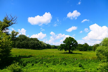 Fototapeta premium Marchfeld