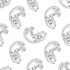 vector summer seamless pattern with dog figures