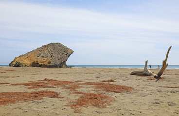 Fototapeta na wymiar almería playa monsul primavera 4M0A4097-as22