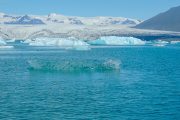 Fototapeta na wymiar Bright clear blue iceberg floating in the Jokulsarlon lake blue cold water in Iceland 39