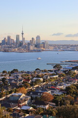 View from mount victoria down to auckland in new zealand.
