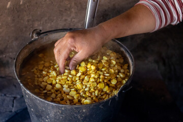 preparacion de nixtamal de maiz, para la elaboracion de tortillas torteadas en cocinas tradicionales mexicanas, en san gregorio, mixtlan, jalisco © JP STUDIO