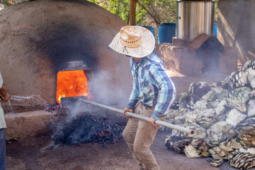 Hombres llenando de piñas de agave el horno de adobe, para preparar raicilla, en san gregorio, mixtlan, jalisco