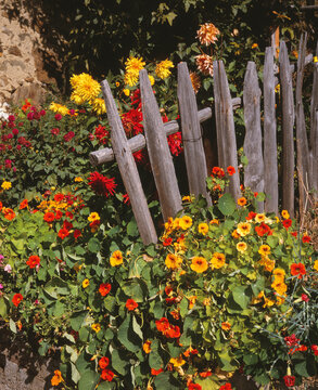 Zaun mit Blumen