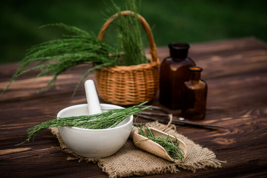 Apothecary mortar with dry medicinal herbs horse tail. Equisetum, horsetail, snake grass, oil for cosmetology. puzzlegrass, candock extract for alternative medicine used diuretic for edema