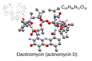 Chemical formula, skeletal formula, and 3D ball-and-stick model of chemotherapeutic drug dactinomycin, white background