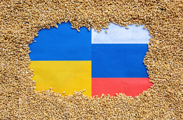 grain wheat kernel and spikelets on Ukrainian flag background.  food problem  