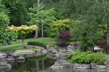Fototapeta na wymiar japanese garden with pond