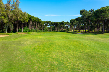 Landscape view of beautiful golf course surrounded with pines in Turkey Belek