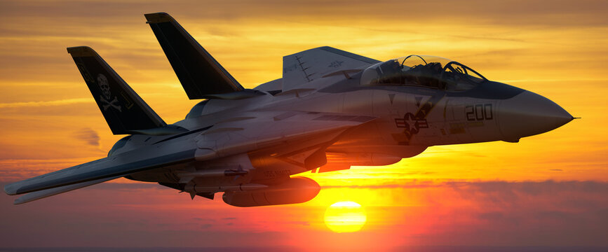 The legendary Grumman F-14 Tomcat - one of the world's most famous fighters.