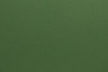 Green paper texture. Blank green paper background in olive tone