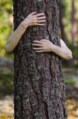 Hugging a tree