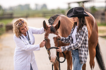 A veterinary checks the horse at the ranch while the owner holds the animal