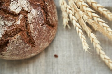 Top view of freshly baked rye bread on a yeast-free starter and on a mixture of whole grain, rye and wheat flour. It lies on a napkin, next to a dried flower with grains. Selective focus. 