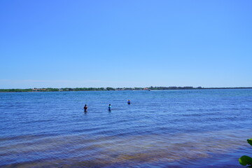Emerson Point Preserve: The Manatee River meets the Tampa Bay	
