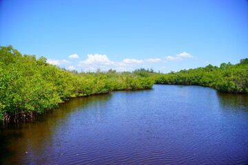 Emerson Point Preserve: The Manatee River meets the Tampa Bay	
