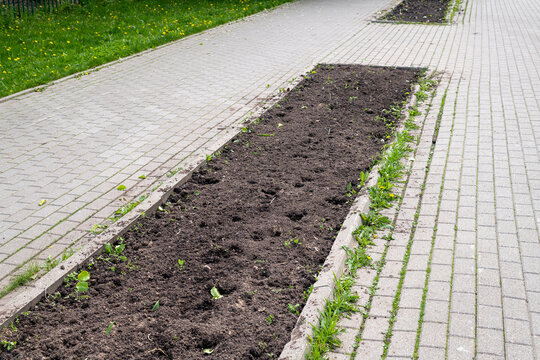 Land on city flower bed prepared for planting flowers in Moscow, Russia