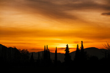 Sunset with rows of trees and mountain view