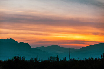 Sunset with rows of trees and mountain view