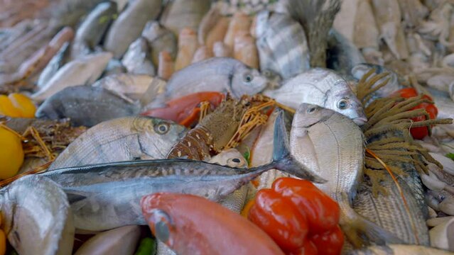 Seafood on the market. Action.A bright diverse big fish that is sold on the bench.