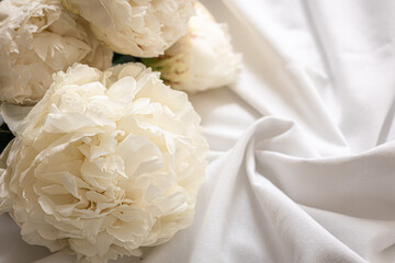 Close up, white spring peonies flowers in bed.