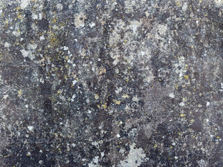 texture of old concrete wall