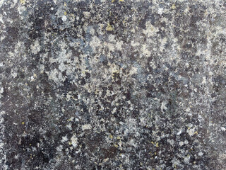 texture of old concrete wall