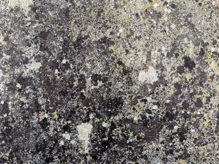 texture of old concrete wall