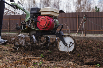 motor cultivator or tiller tractor cultivates the ground soil in the garden close up. Modern...