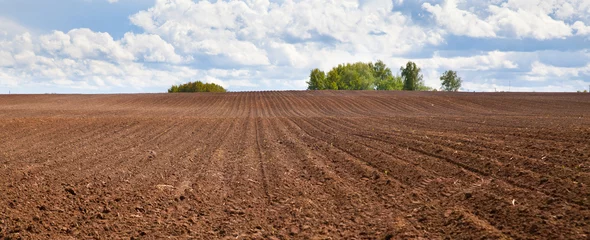 Fototapeten Plowed field and blue sky. agriculture plowed field and blue sky with clouds. © Tatiana Nurieva