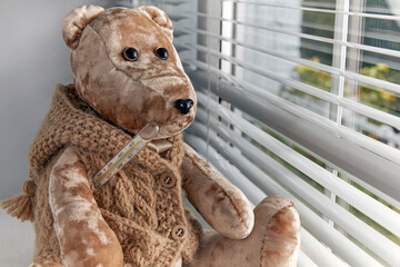 A teddy bear in a thermometer looks out the window sadly