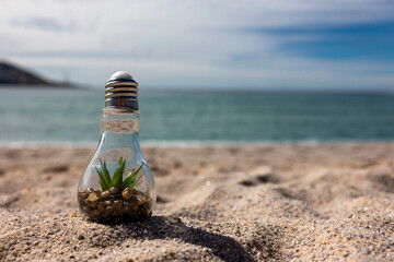 A light bulb on the sand against the background of the ocean. Inside the lamp are stones and greenery. Ecology. Ecosystem. Energy saving. Environmental protection. Alternative energy sources. Idea
