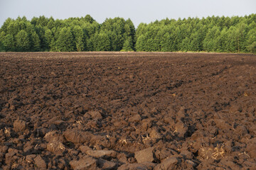 Plowed agricultural field for sowing. The process of preparing the soil before planting cereals, legumes, nightshade crops. Farming and food industry