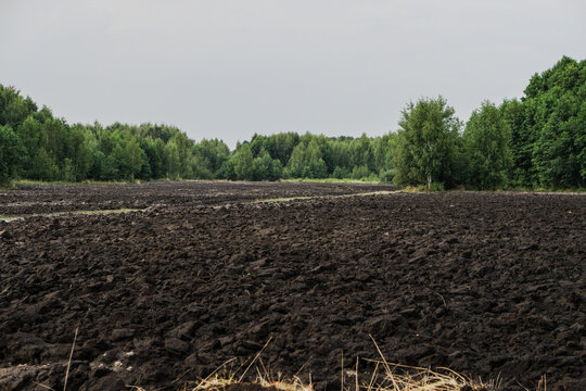 Plowed agricultural field for sowing. The process of preparing the soil before planting cereals, legumes, nightshade crops. Farming and food industry