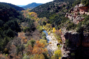 Fototapeta na wymiar High view of Oak Creek Canyon SEDONA AZ, Fall Colors with creek