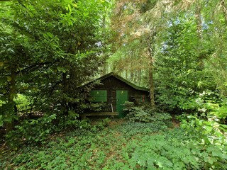 Fototapeta na wymiar house in the forest