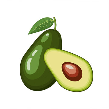 Avocado whole and half, vector illustration isolated on white background in flat style