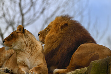 Repos en famille