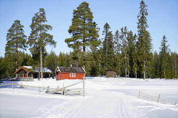 ski resort in the mountains, landscape, snow, trees