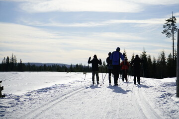 people walking in the snow, skiing 