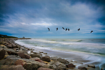 fort fisher jetty