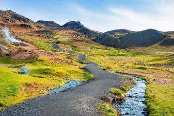 Pathway by stream flowing in mountain. Beautiful view of amidst green moss covered landscape against blue sky. Idyllic picturesque of volcanic valley in Alpine region.
