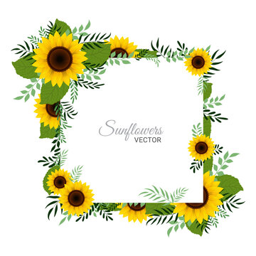 Vector Sunflower illustration foliage border design template