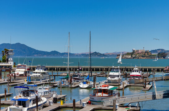 boats in the marina on the bay