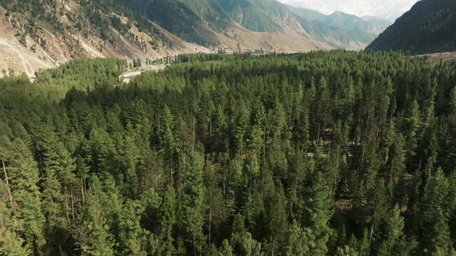 Aerial, drone flights in top of high mountain (Himalayas) pine forest, as it goes camera tilts down in to the trees. Filmed in Kumquat, KPK, Pakistan with DJI Mavic 3