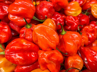 Hot chilli peppers on sale in an Asian supermarket.