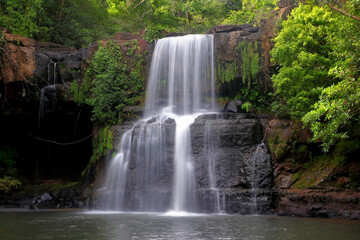 Fototapeta na wymiar waterfall in green forest